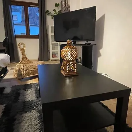 Le Spacieux Proche Centre Straatsburg