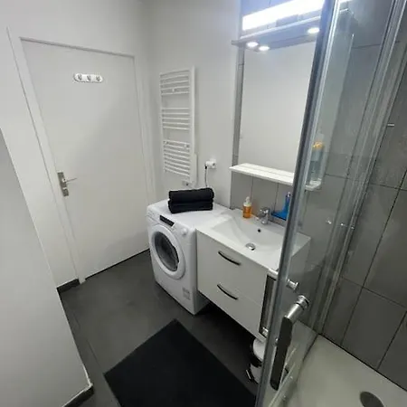 Le Spacieux Proche Centre Apartment *